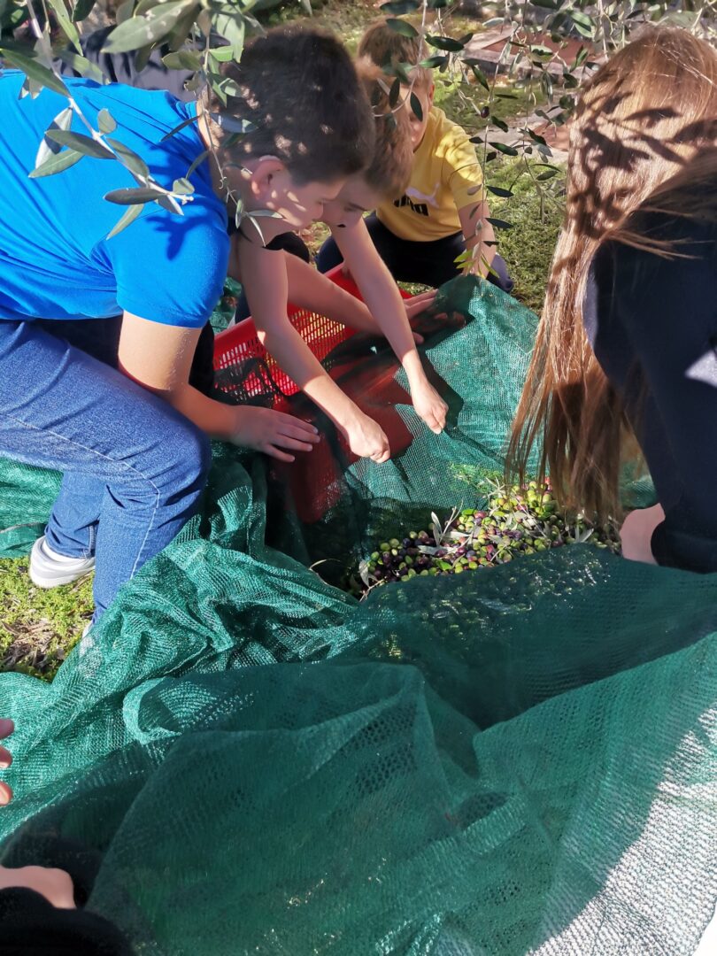 IMG_20251028_130639_resized_20251113_012600415